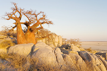 博茨瓦納帕拉佩機(jī)場(chǎng)三字代碼(QPH),帕拉佩機(jī)場(chǎng)(Palapye airport)四字碼,博茨瓦納機(jī)場(chǎng)三字碼查詢(xún)