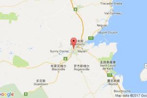 紐卡斯?fàn)柛劭诓樵?xún)_newcastle,nb港口代碼_加拿大紐卡斯?fàn)柛劭诖a