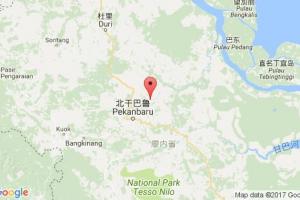 珀拉旺港口查詢_perawang港口代碼_印度尼西亞(印尼)珀拉旺港口代碼