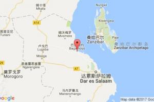 巴加莫約港口查詢_bagamoyo港口代